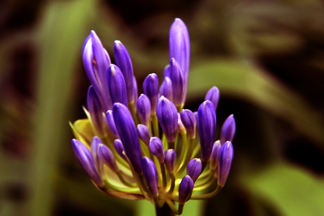 罗马诺：J罗未与奥兰多城谈判，仍在寻找下家